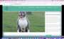 https://pocketbullykennel.com/ screenshot